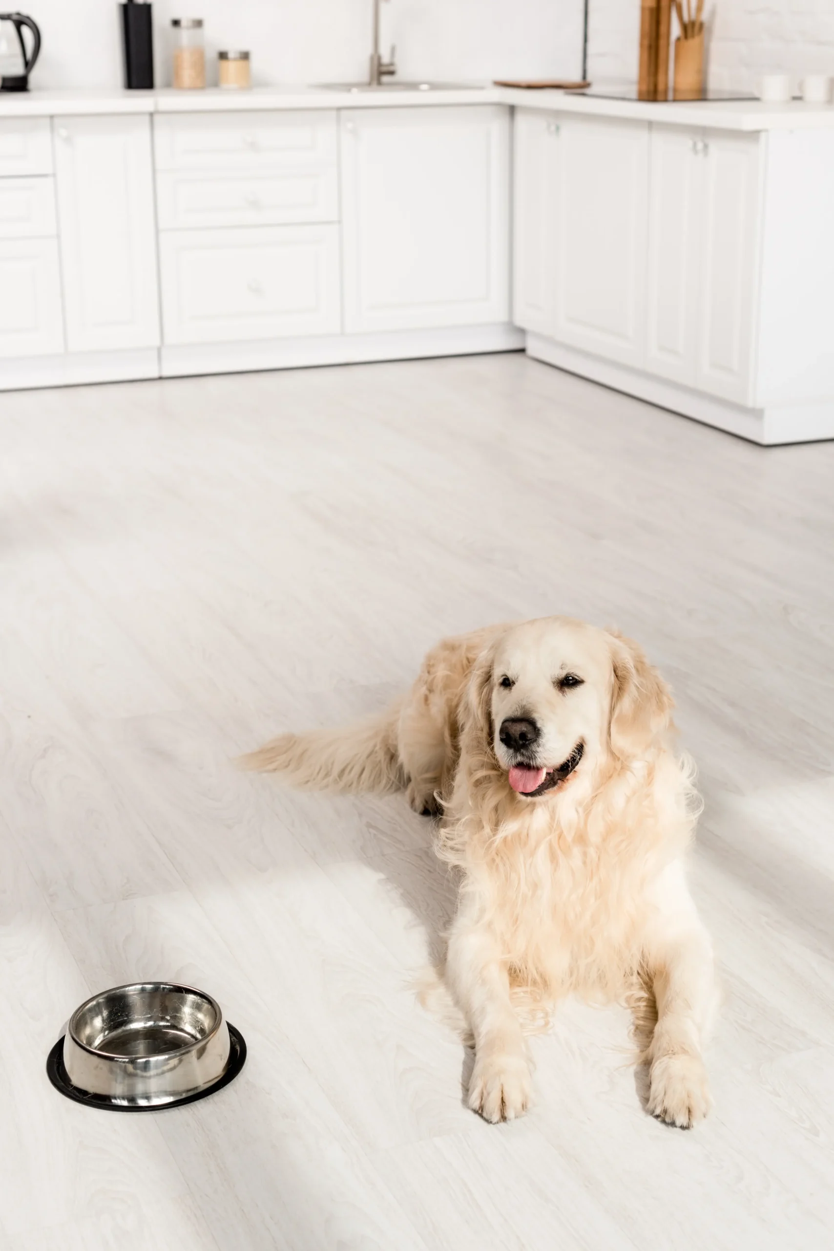 Vinyl Sheet Flooring in Katy, TX